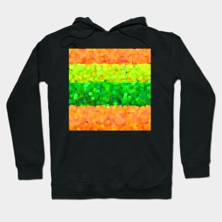 Sparkle and Glitter Orange and Green Hoodie